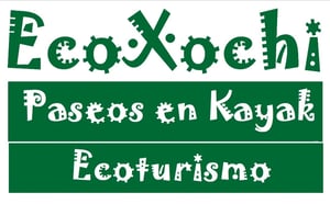 Ecoxochi