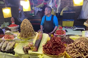 Mexico City:bMystic Markets Merced & Sonora eat with locals