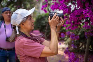 Ciudad de México: paseo fotográfico y pícnic en Chimalistac, Coyoacán