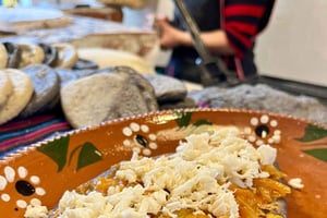 Ciudad de México: Coyoacán Walking Tour