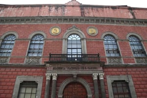 Mexico City: Cultural Tour with Museums and Library