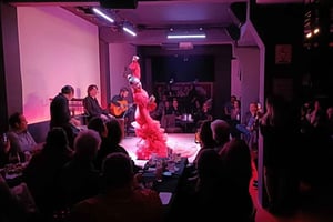 Mexico City: Flamenco Tablao Live Show & dinner