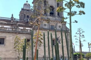 México City: History, and modern life in the capital