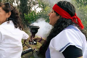 Mexico city: Mexica Corn Reading and Tonalamatl Session