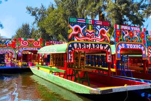 Mexico City: Party on a trajinera through Xochimilco with snacks, music, and drinks