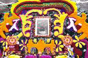 Acceso al Museo Frida Kahlo con Guía Digital