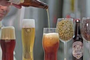 Mexico City Tasting Tour and Craft Beer Experience