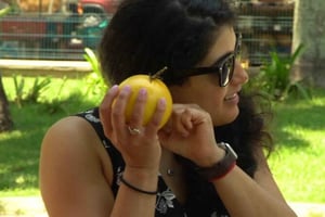 Mexico's Tropical Fruit Guided Tasting in Mexico City