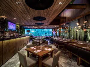 Sonora Prime Mazaryk