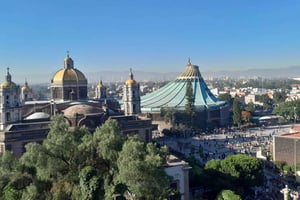 Teotihuacan & Basilica de Guadalupe: Tour privado con Comida