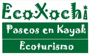 Ecoxochi