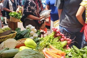 Xochimilco: Market, Food and Nature ¡All included! Tour