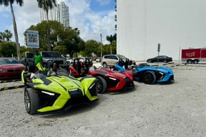 6 timmars hyra av slangbella Miami