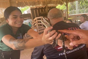 Miami: Halvdagstur til Everglades