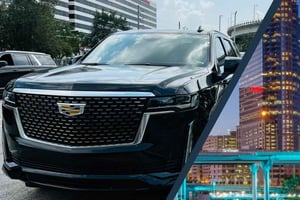 タンパの魅力を満喫する1日ツアーをお楽しみください ☀️