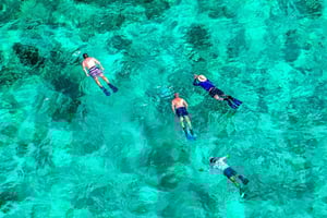 Florida Keys: Avventura di un giorno intero in kayak e snorkeling nella barriera corallina