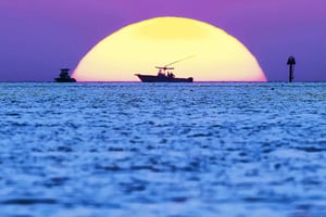 Excursion d'une journée de Fort Lauderdale à Islamorada