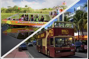 From Miami: Everglades, Wildlife Show, & Hop-on Hop-off Tour