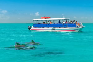 From Miami: Key West with Dolphin Watch or Snorkel Boat