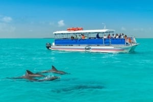 Miami: Key West Day Trip with Dolphin Spotting or Snorkeling