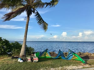 Matheson Hammock Park