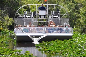 Miami Beach: Everglades Luchtboottochten en ritten