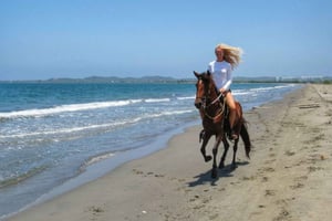 Miami: Beach Horse Ride & Nature Trail