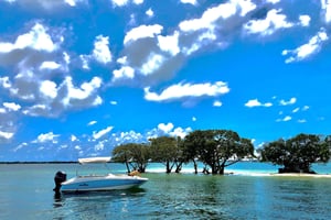 Miami: Självkörande båtuthyrning