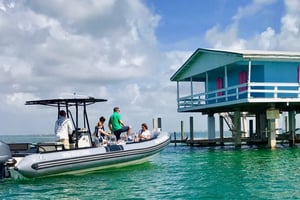 Miami: Omvisning med båt i liten gruppe + ikoniske Stiltsville