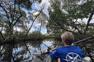 Miami: Clear Kayak Eco Tour with Guide and Wildlife