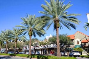 Miami: wycieczka prywatna do Coconut Grove i Coral Gables
