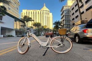 Miami: Electric Bike Rental