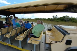 Miami: Everglades Airboat Ride and Tram Tour