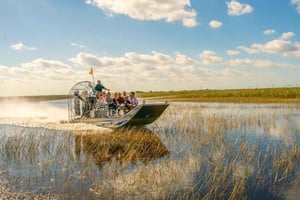 Miami: rezerwat przyrody i łódź airboat w Everglades