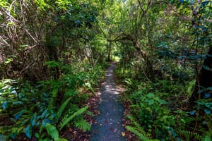 Miami: Everglades Private Tour