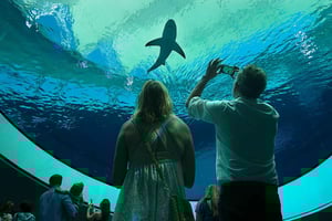 Майами: входной билет в Музей науки и планетарий Фроста