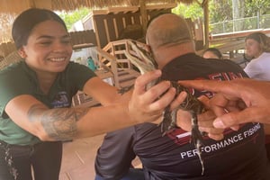 Miami: Halvdagstur til Everglades