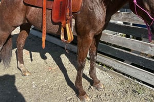 Miami: passeio a cavalo com instrutor