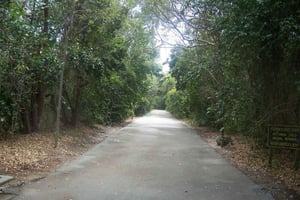 Miami : visite privative de Key Largo