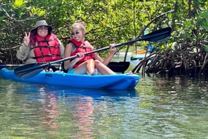 Miami: Wypożycz deskę wiosłową lub kajak w Virginia Key