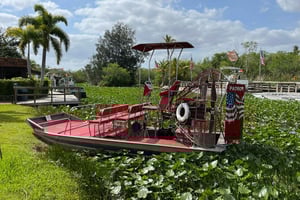 Miami: Privat tur i Everglades på franska i en cabriolet Mustang