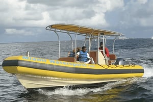 Miami: Afslappende sightseeing bådtur