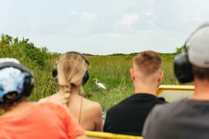 Fra Miami: Luftbåttur og naturvandring i Everglades