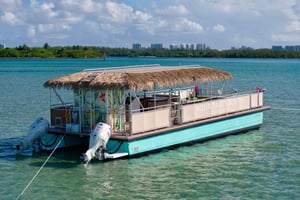 Avontuur op Raccoon Island: zwemmen en luxe landgoederen aan het water