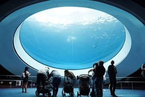 Det Miami vitenskapsmuseet