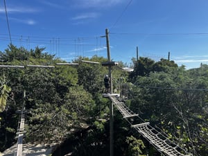 Treetop Trekking Park Miami