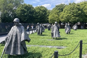 From NYC: Washington DC 1 Day Tour and Free Time for Museums