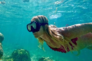 West Palm Beach Snorkeltur för nybörjare med sköldpaddor och videor