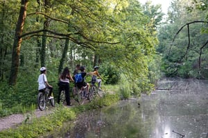 Milano: Cykeltur med picnic ved skildpaddesøen