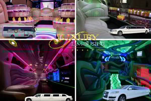 Milano i Limousine: Tour med fotostop